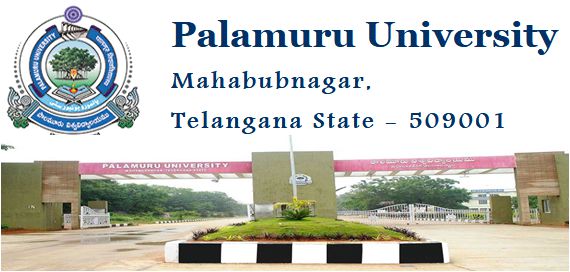 Palamuru University Degree 3rd & 5th Sem Results 2024 (Link OUT), Download